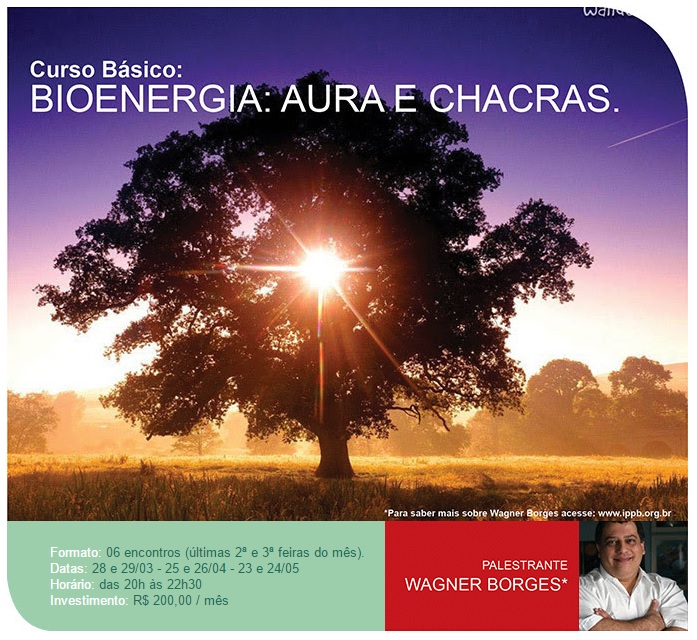 curso bioenergia aura e chacras extensivo origens 2016q