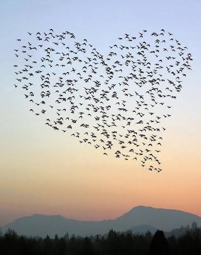 1364-ha-algo-mais-um-amor-uma-luz--lxxi